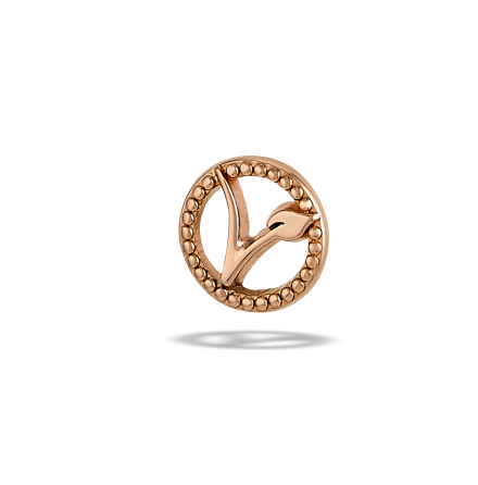 14k Vegan Logo, pushfit