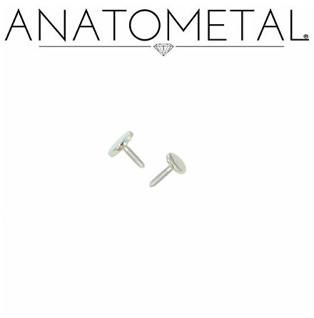 18K white gold disk, pushpin